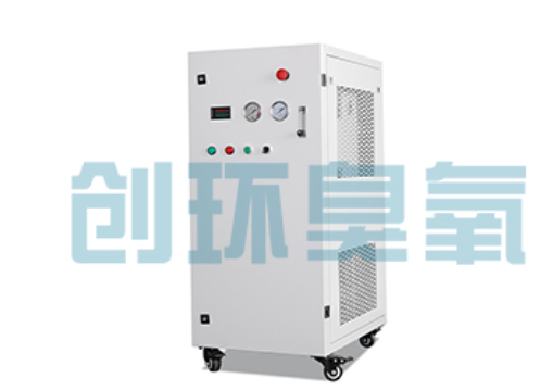 泰安石斑鱼养殖水质调控完整指南:臭氧发生器配置与操作步骤