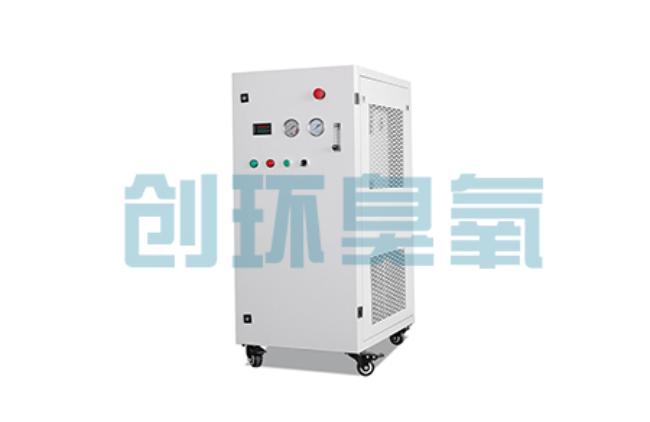 泰安比传统换水更高效?臭氧发生器在石斑鱼养殖中的水质净化原理解析